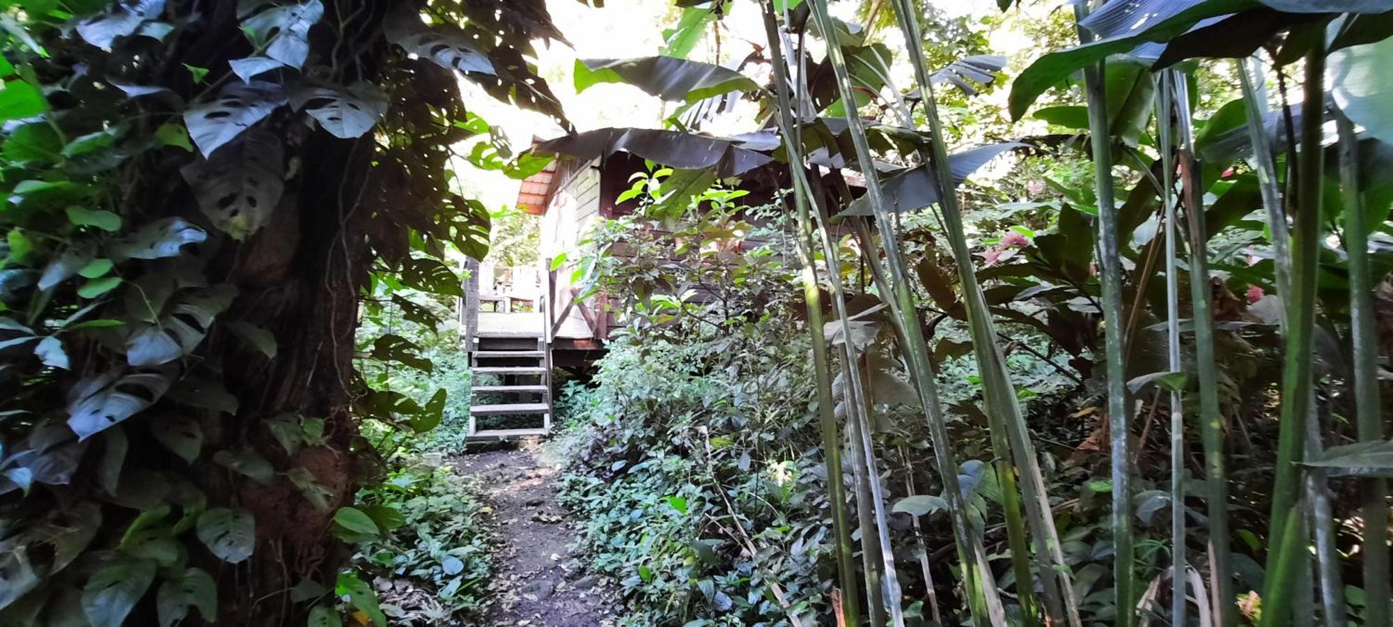 Mombacho Lodge Гранада Экстерьер фото