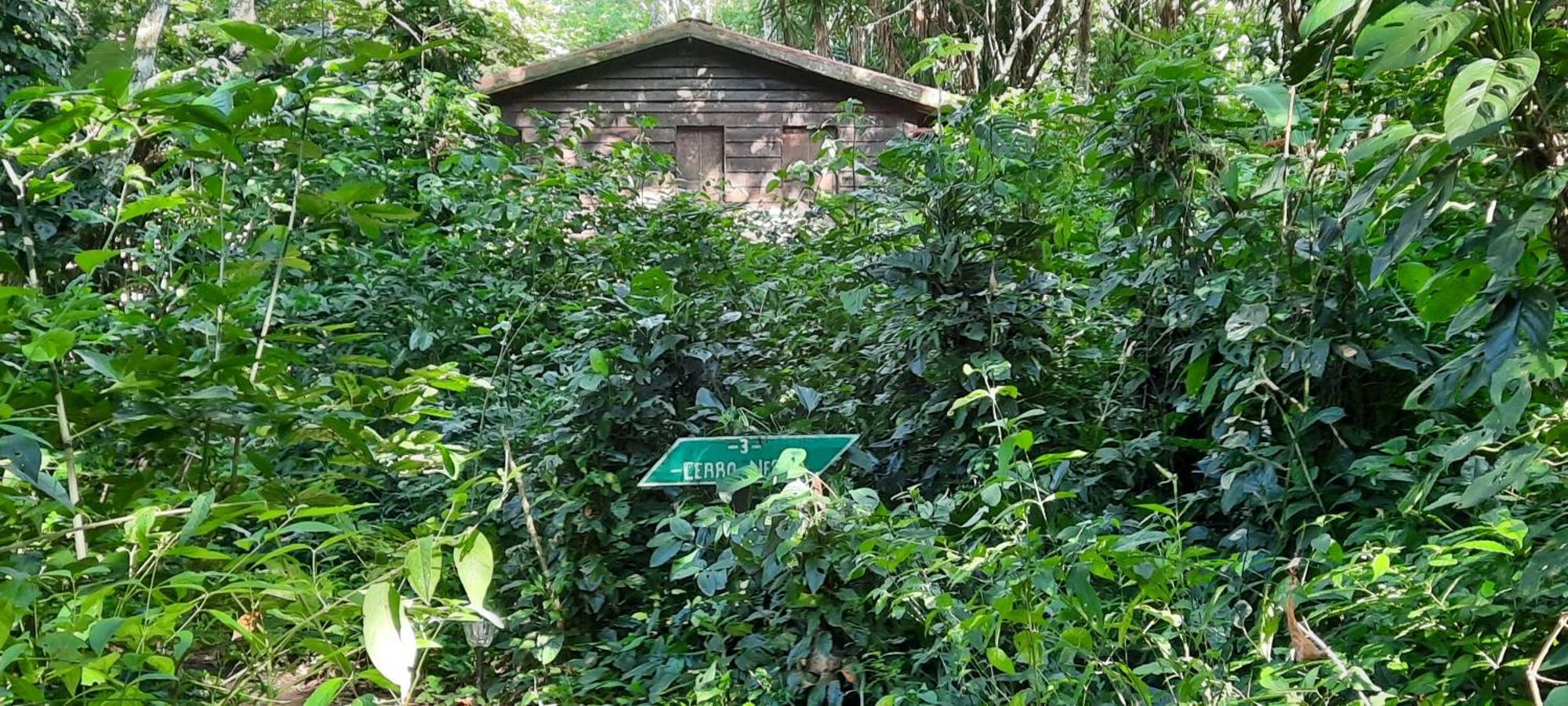 Mombacho Lodge Гранада Экстерьер фото